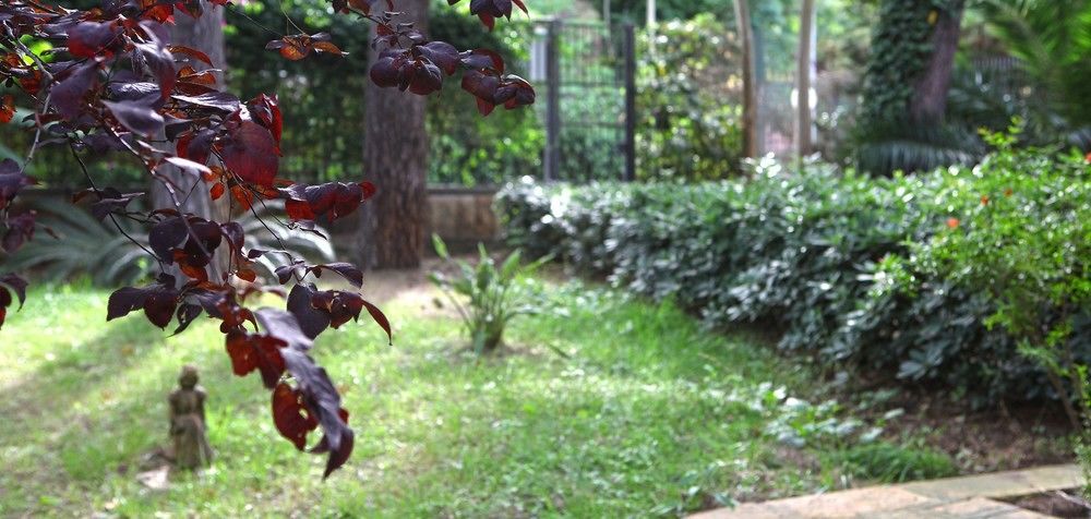 كاستيلانيتا مارينا B&B Viale Dei Pini المظهر الخارجي الصورة