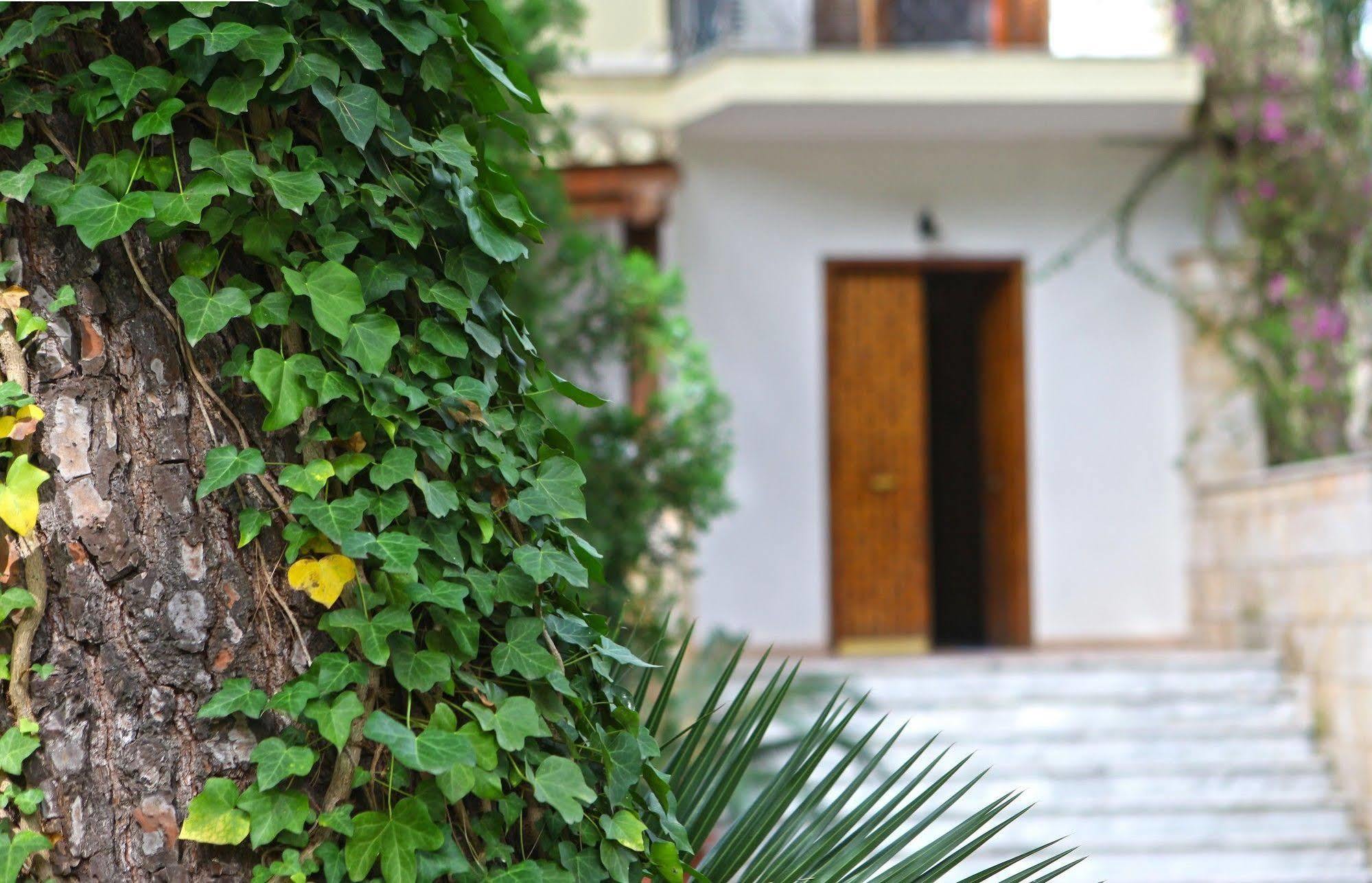 كاستيلانيتا مارينا B&B Viale Dei Pini المظهر الخارجي الصورة