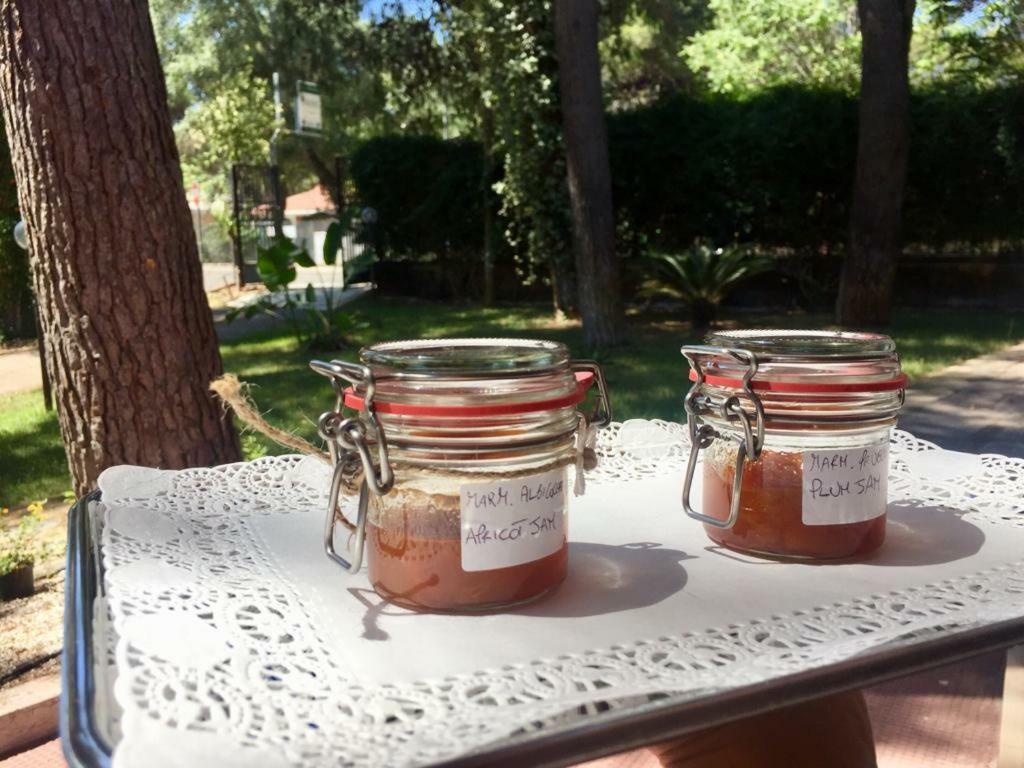 كاستيلانيتا مارينا B&B Viale Dei Pini المظهر الخارجي الصورة
